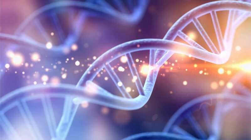 Практический курс «Разработка ДНК бренда»