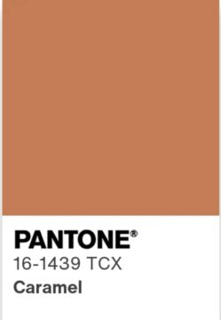 Карамельный коричневый (Caramel) 16-1439 TCX