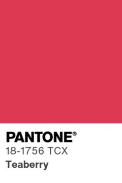 Яркий красно-розовый (Teaberry) 18-1756 TCX