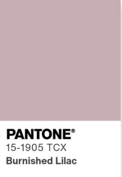 Дымчатый лиловый (Burnished Lilac) 15-1905 TCX