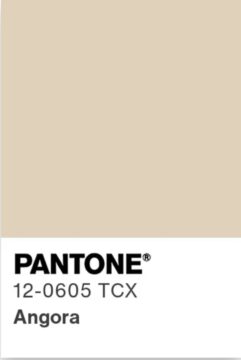 Мягкий бежевый (Angora) 12-0605 TCX