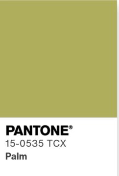 Травянисто-зелёный нейтрал (Palm) 15-0535 TCX