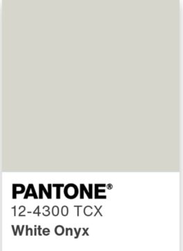 Мягкий бело-серый (White Onyx) 12-4300 TCX