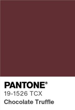 Тёмно-шоколадный (Chocolate Truffle) 19-1526 TCX
