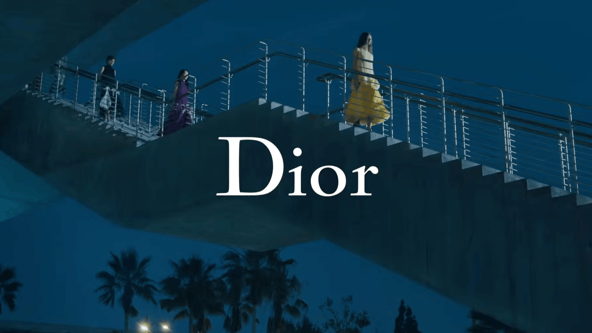 Dior Cruise 2027